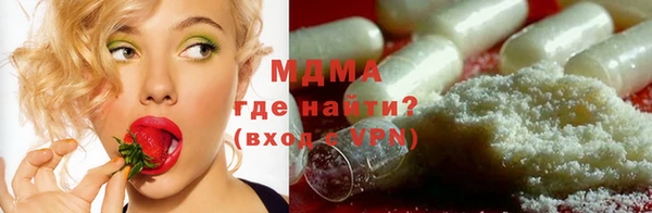 ПСИЛОЦИБИНОВЫЕ ГРИБЫ Дмитриев