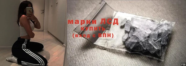ПСИЛОЦИБИНОВЫЕ ГРИБЫ Дмитриев