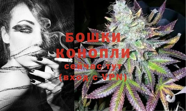 ПСИЛОЦИБИНОВЫЕ ГРИБЫ Дмитриев