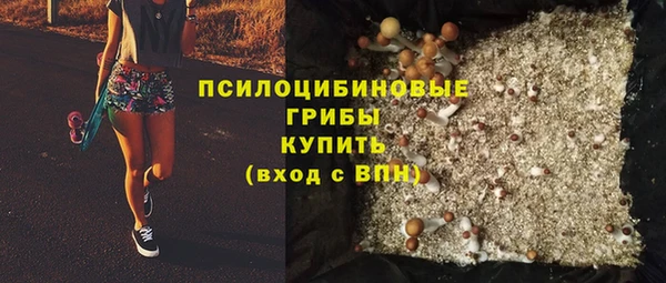 соль ск Дмитров