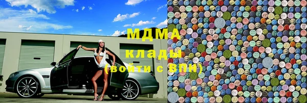 ПСИЛОЦИБИНОВЫЕ ГРИБЫ Дмитриев