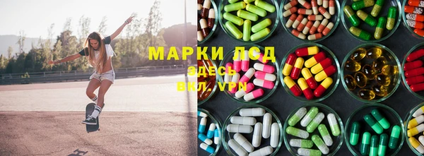 a pvp Дмитровск