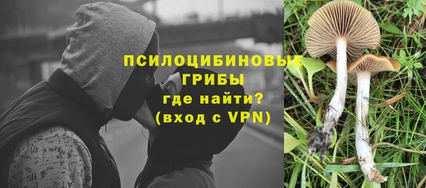 a pvp Дмитровск