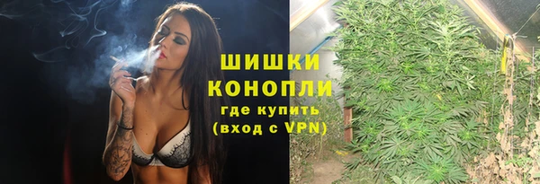 ПСИЛОЦИБИНОВЫЕ ГРИБЫ Дмитриев