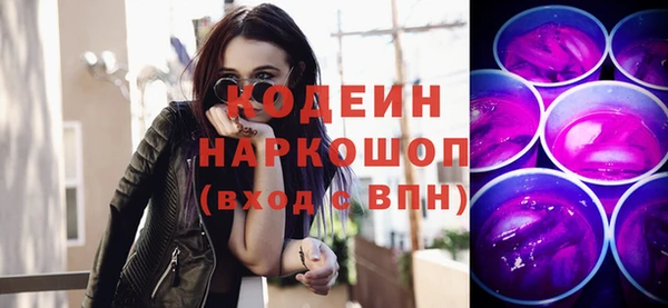 ПСИЛОЦИБИНОВЫЕ ГРИБЫ Дмитриев