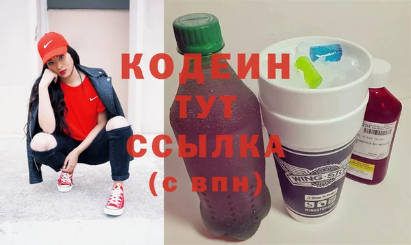 соль ск Дмитров