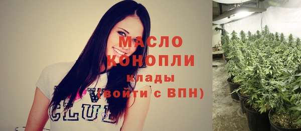 соль ск Дмитров